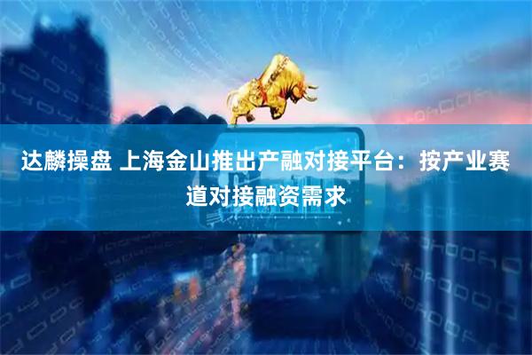 达麟操盘 上海金山推出产融对接平台：按产业赛道对接融资需求
