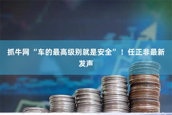 抓牛网 “车的最高级别就是安全” ！任正非最新发声
