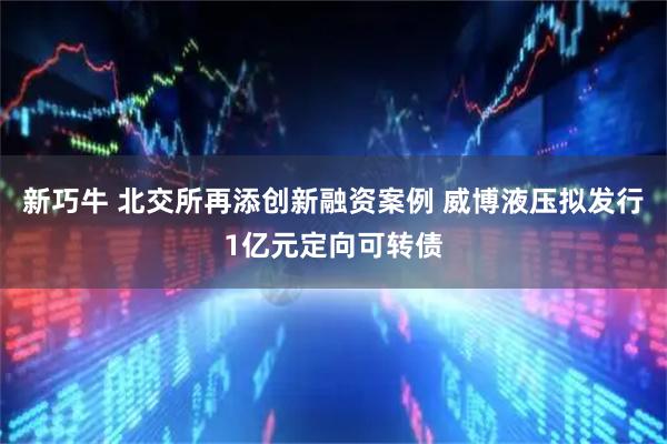 新巧牛 北交所再添创新融资案例 威博液压拟发行1亿元定向可转债