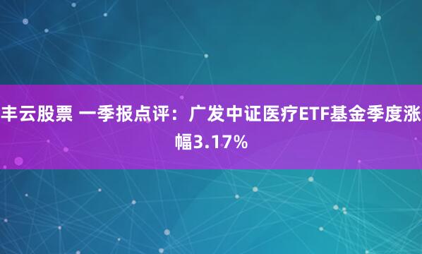 丰云股票 一季报点评：广发中证医疗ETF基金季度涨幅3.17%