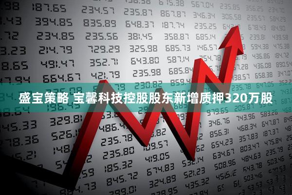 盛宝策略 宝馨科技控股股东新增质押320万股