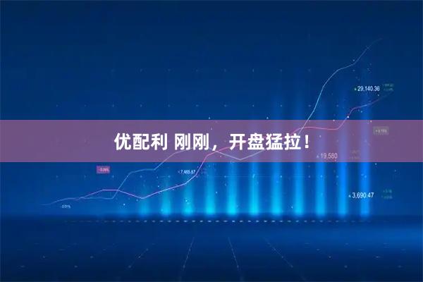 优配利 刚刚,开盘猛拉!